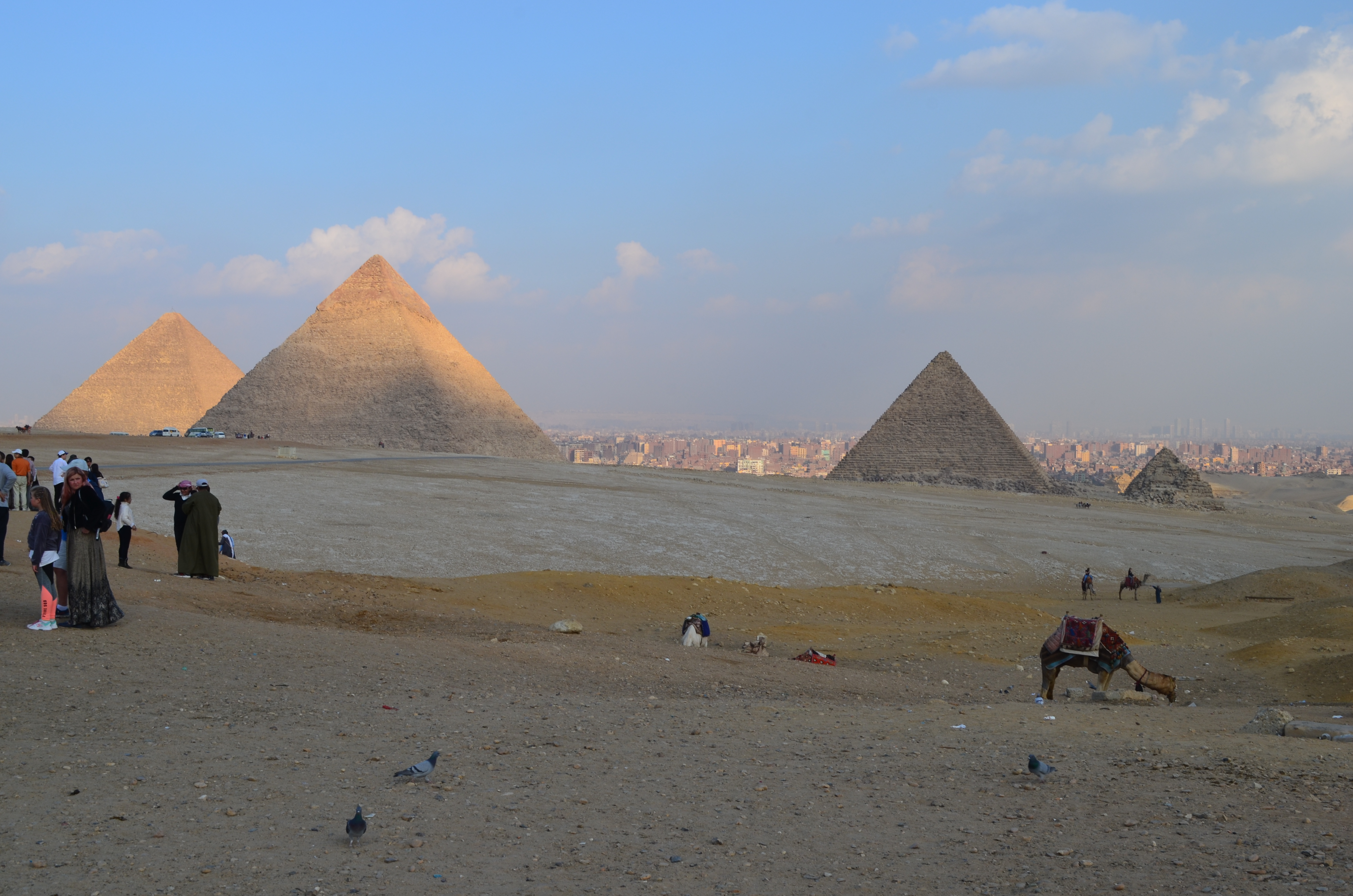 ./2018/16 - Egypt/03 - Pyramids/DSC_0296.JPG